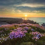 Ostan Oilean Thorai Tory Island Hotel